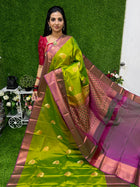 Premium Kanchi