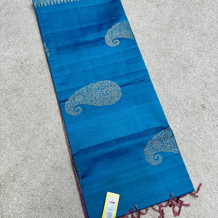 Handloom Kanchipuram Silk