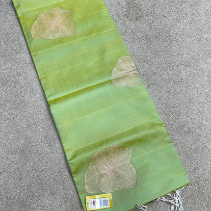 Handloom Kanchipuram Silk