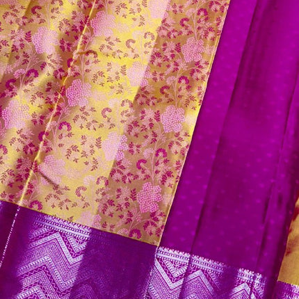 Handloom Kanchipuram Silk