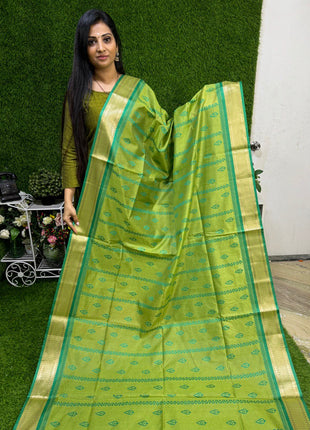 Banana Pith Saree