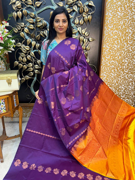 Border Less Kanchi Silk