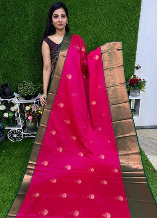 Premium Kanchi