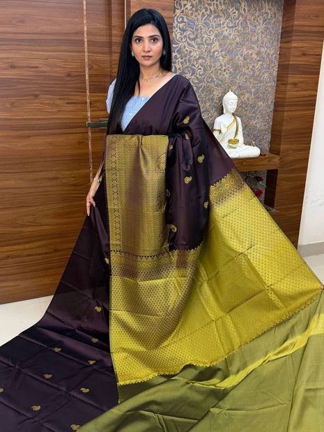 Premium Kanchi