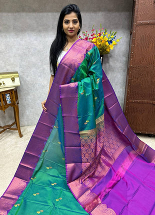 Premium Kanchi