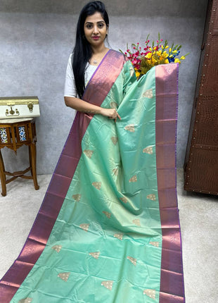Premium Kanchi