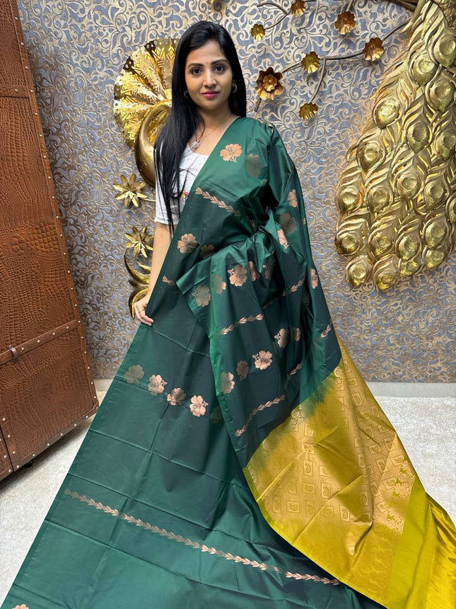 Border Less Kanchi Silk