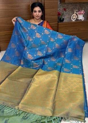 BORDER LESS KANCHI SILK