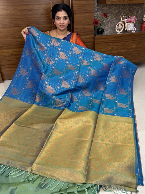 BORDER LESS KANCHI SILK