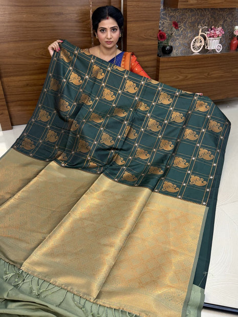 BORDER LESS KANCHI SILK
