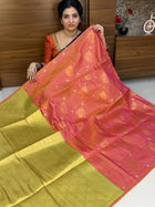 BORDER LESS KANCHI SILK