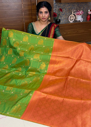 BORDER LESS KANCHI SILK