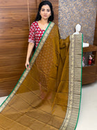Narayanpet Cotton