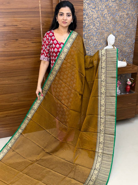 Narayanpet Cotton
