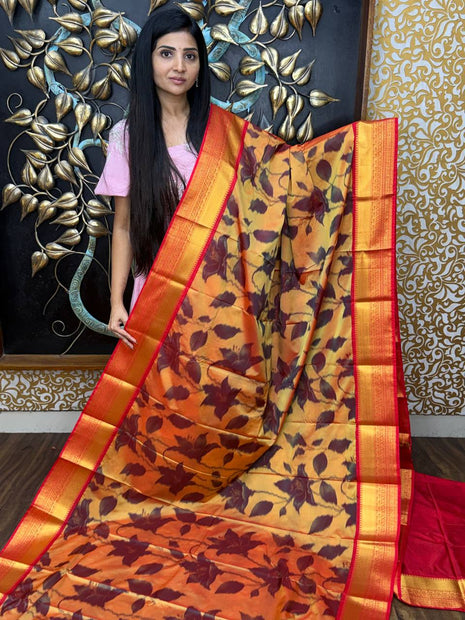 Premium Kanchi