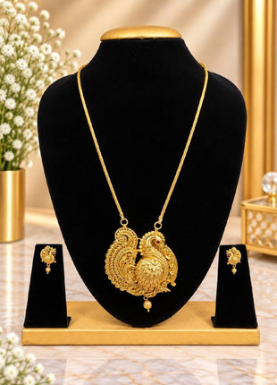 Long Dollar Chain With Earring
