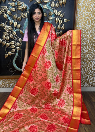 Premium Kanchi