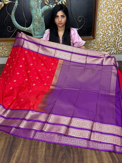 Premium Kanchi