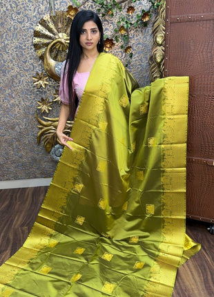 Premium Kanchi Gold Zari Pallaku Design