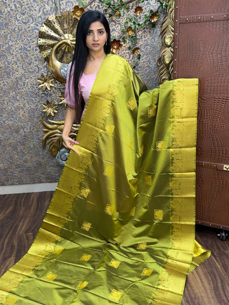 Premium Kanchi Gold Zari Pallaku Design