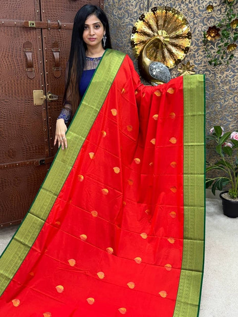 Kanchi Silk