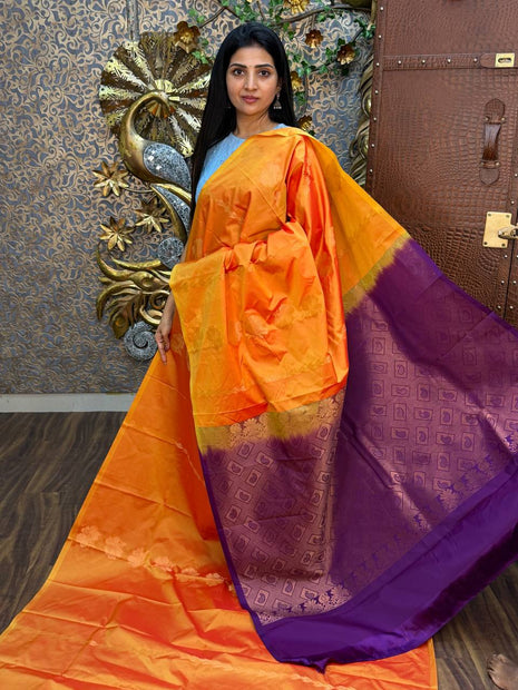 Border Less Kanchi Silk