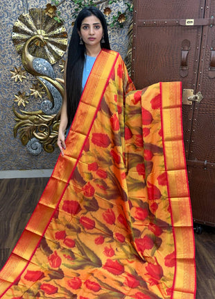 Premium Kanchi