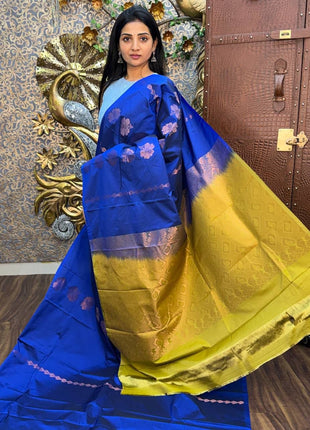 Border Less Kanchi Silk