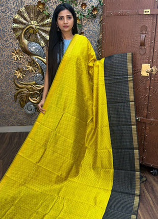 Semi Raw Silk