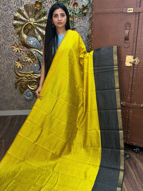 Semi Raw Silk