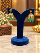 Dollar With Earring