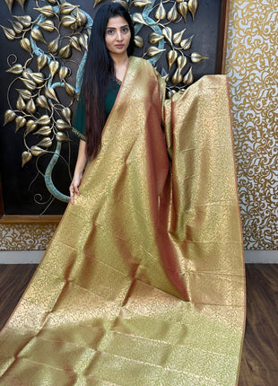 Border Less Kanchi Silk