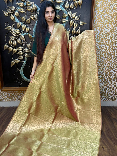 Border Less Kanchi Silk