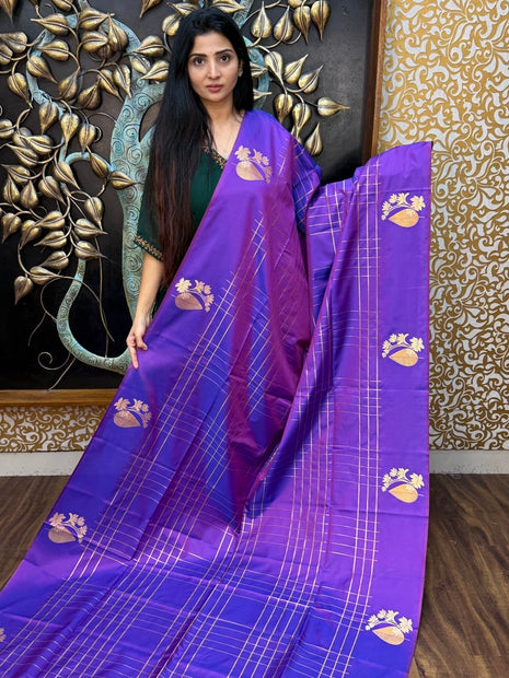 Border Less Kanchi Silk