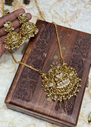 LONG DOLLAR CHAIN WITH EARRING