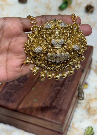 LONG DOLLAR CHAIN WITH EARRING