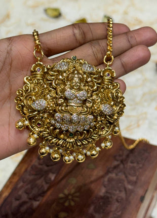 LONG DOLLAR CHAIN WITH EARRING