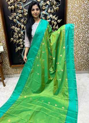 Retta Patta Border Silk