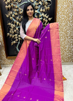 Retta Patta Border Silk