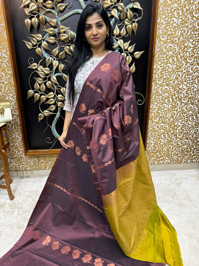 Border Less Kanchi Silk