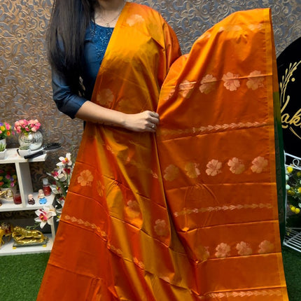 Border Less Kanchi Silk